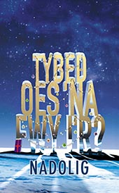 Tybed oes ‘na fwy i’r Nadolig - Might There Be More to Christmas? (Welsh edition)