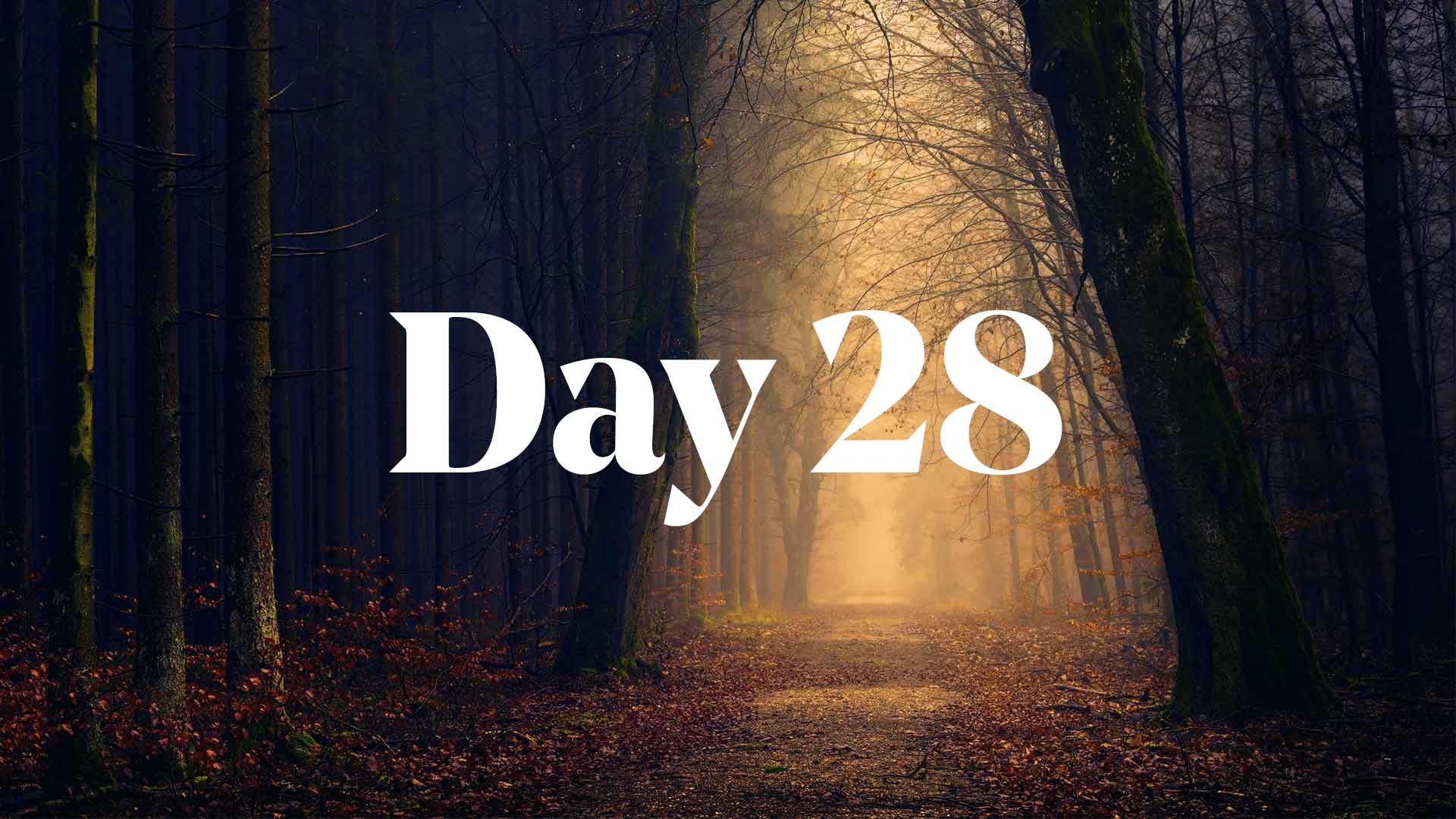 DAY28 